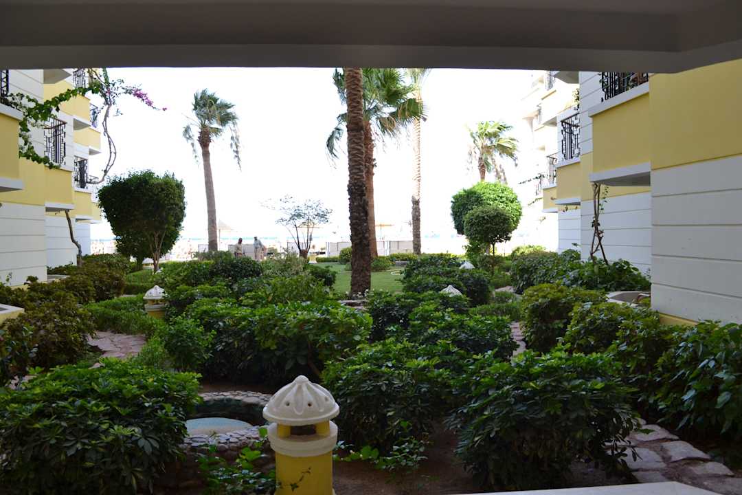 Вид с балкона  SUNRISE Holidays Resort (Adults Only)