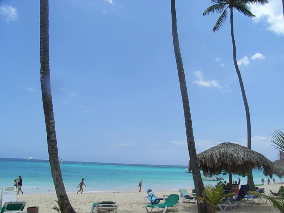 Traumstrand Grand Palladium Punta Cana Resort & Spa
