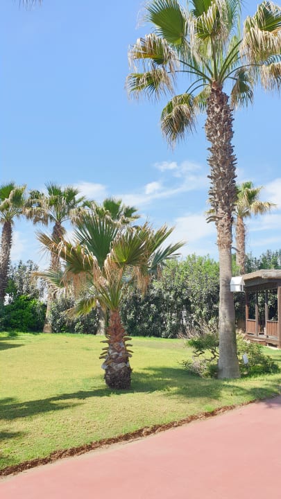 Gartenanlage Saturn Palace Resort Hotel