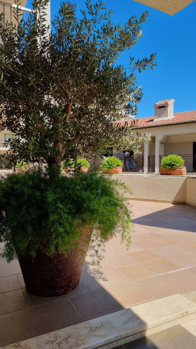Gartenanlage Arum Barut Collection
