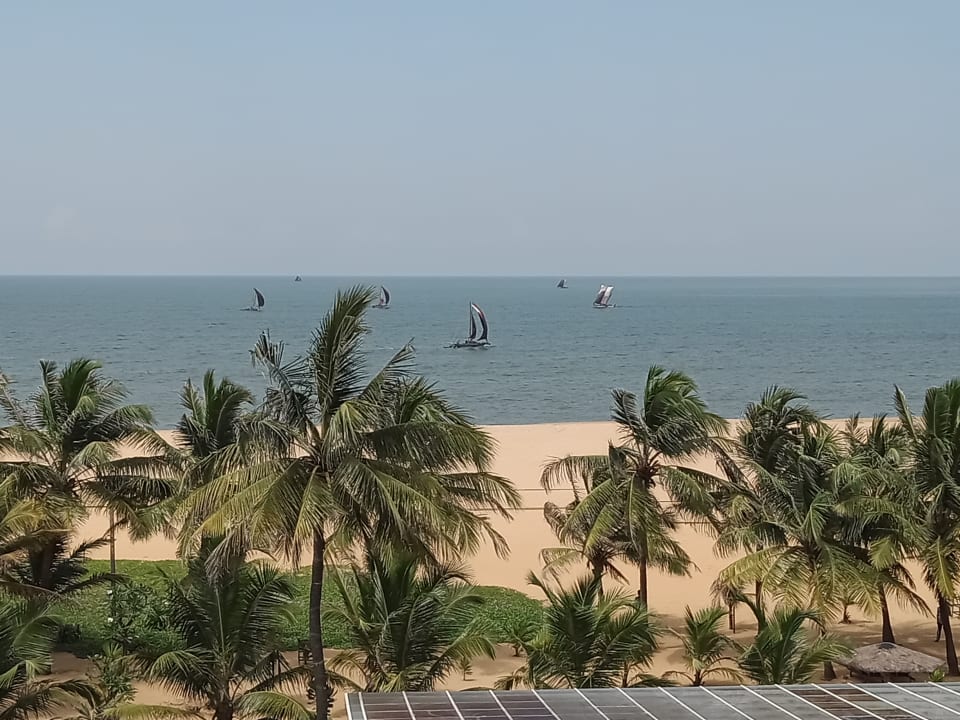 Ausblick Goldi Sands Hotel