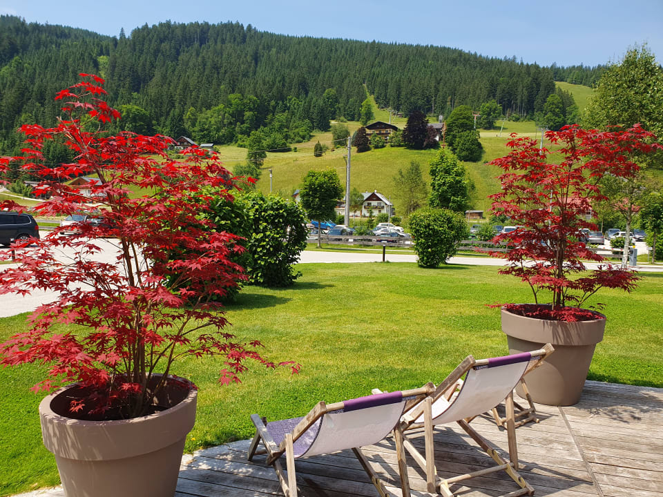 Gartenanlage Dachsteinkönig - Familux Resort