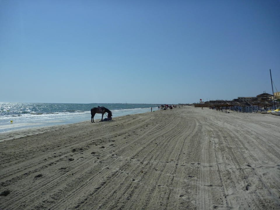 Morgens am Strand TUI MAGIC LIFE Penelope Beach