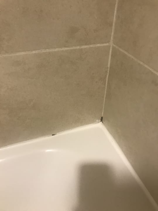 Zimmer FERGUS Style Bahamas