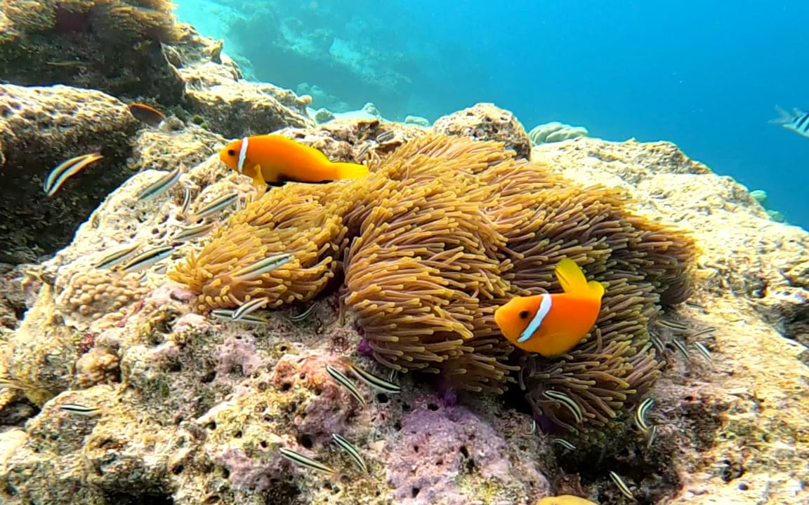Sport & Freizeit Thulhagiri Island Resort