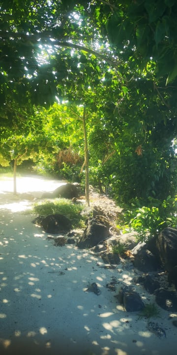 Gartenanlage Lagoon Attitude - Adults only