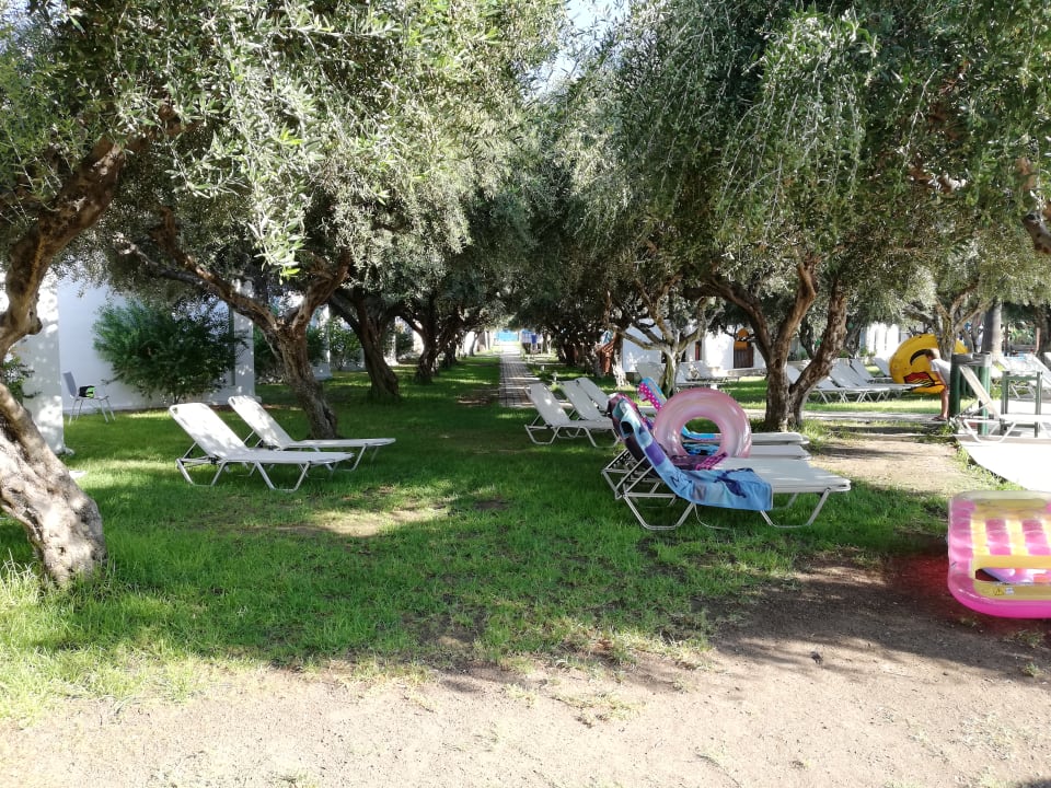 Gartenanlage TUI KIDS CLUB Alex Beach