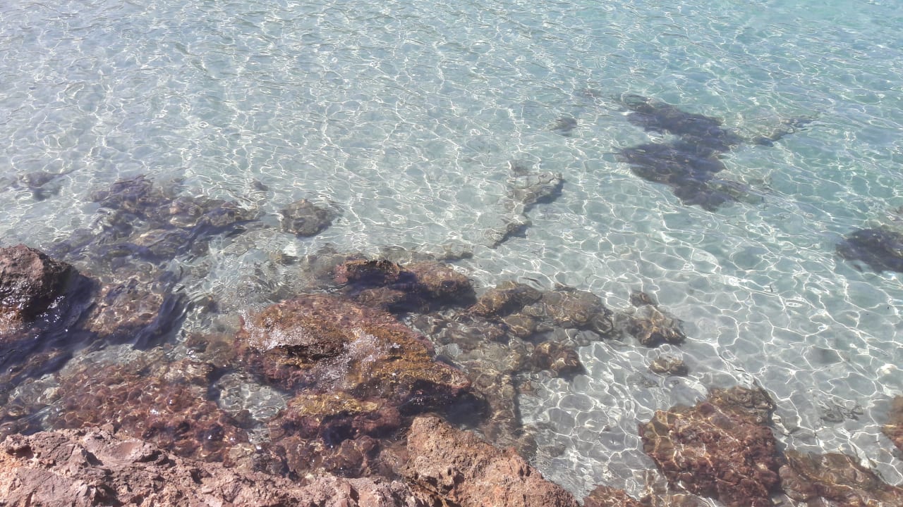 Strand Sandos El Greco Beach Hotel 16+