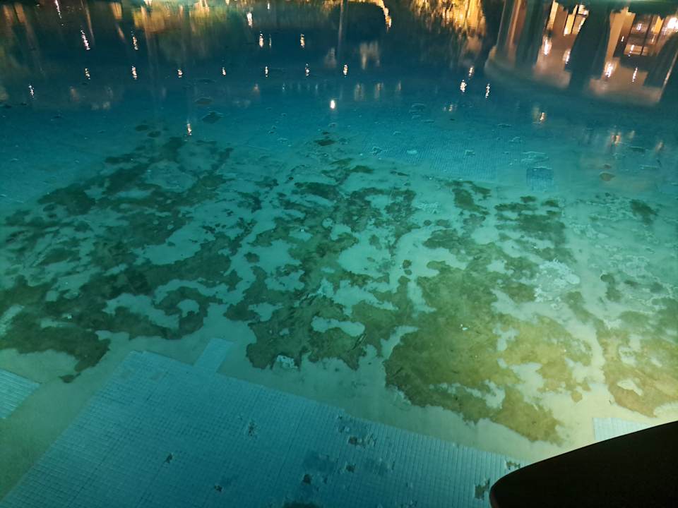 Pool Makadi Spa - Adults only