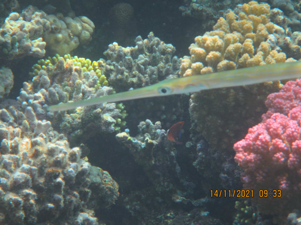 Sport & Freizeit Cleopatra Luxury Resort Makadi Bay