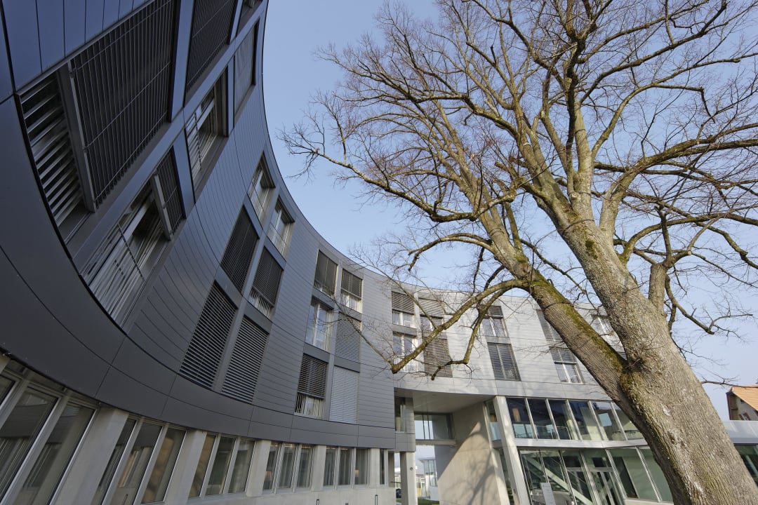 Innhof, Sicht zur Linde Hotel HSG Alumni Haus