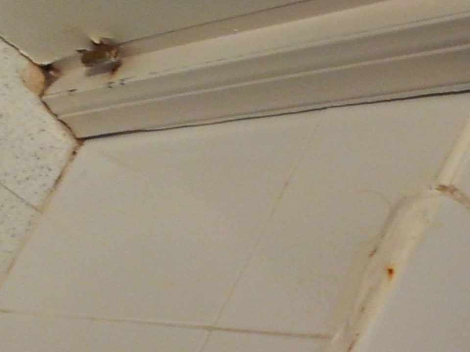 Gequollener Türrahmen und Schimmel an der badewann Grupotel Ibiza Beach Resort