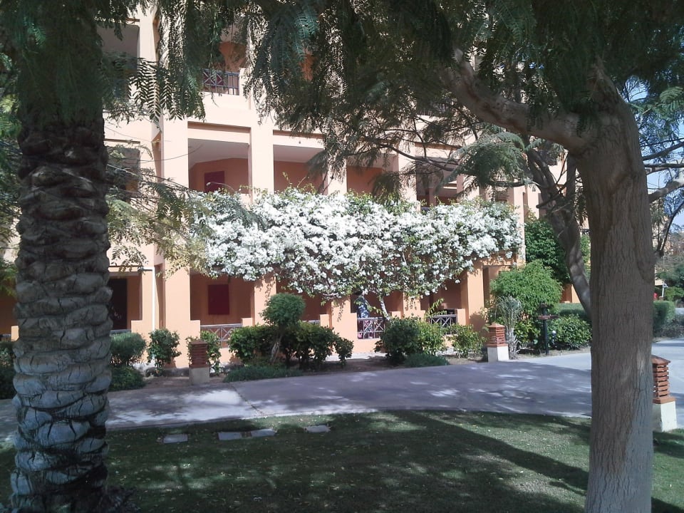 Прекрасное озеленение Stella Garden Resort & Spa, Makadi Bay