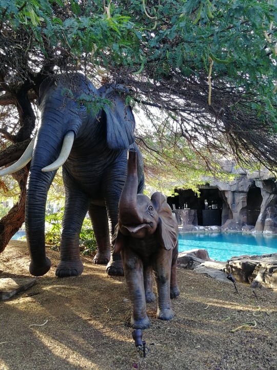 Pool Lopesan Baobab Resort