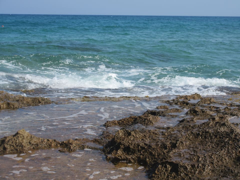 Strand Phãea Cretan Malia