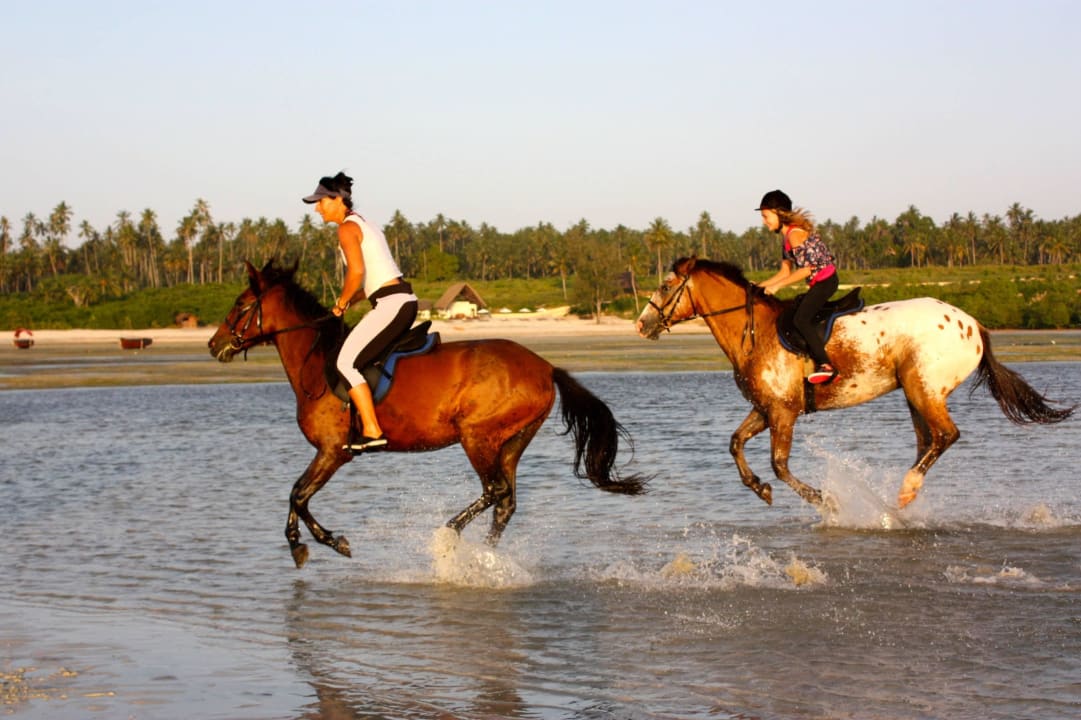 Horse riding on the beach Sea Cliff Resort & Spa