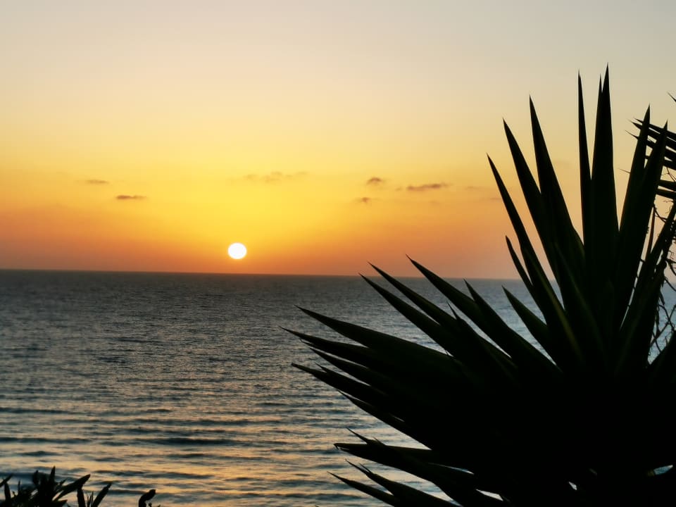 Strand Marina Playa Suite Hotel