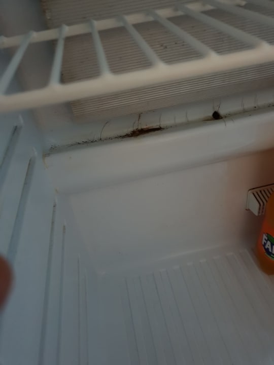 Zimmer Hane Family Resort