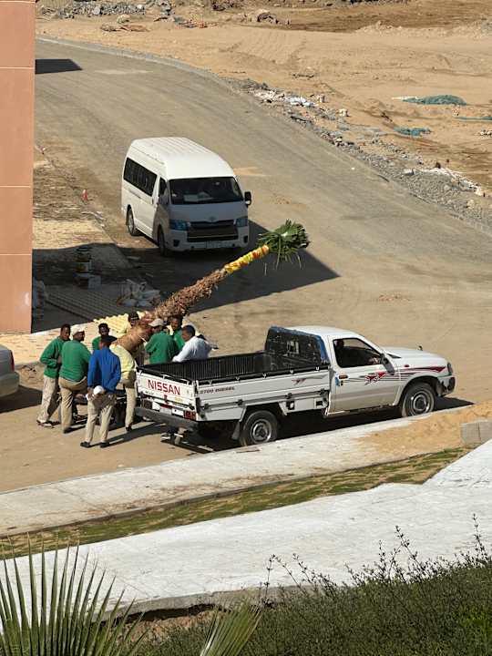 Gartenanlage Three Corners Equinox Beach Resort