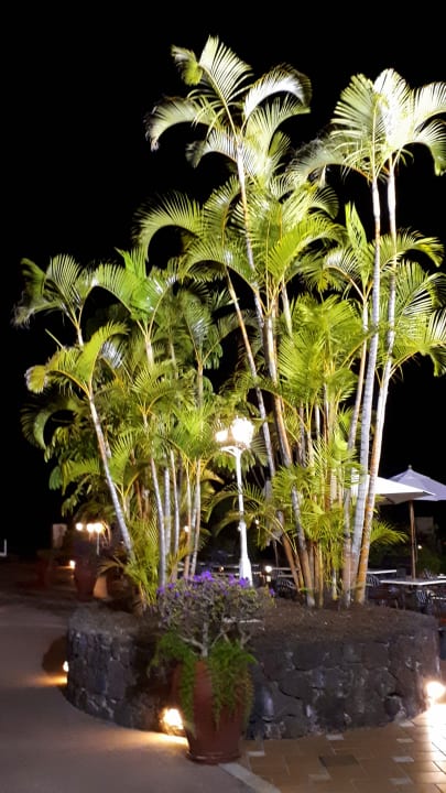 Gartenanlage Coral La Quinta Park Suites