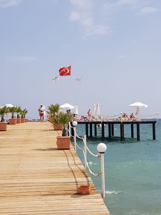 Strand Royal Wings Hotel