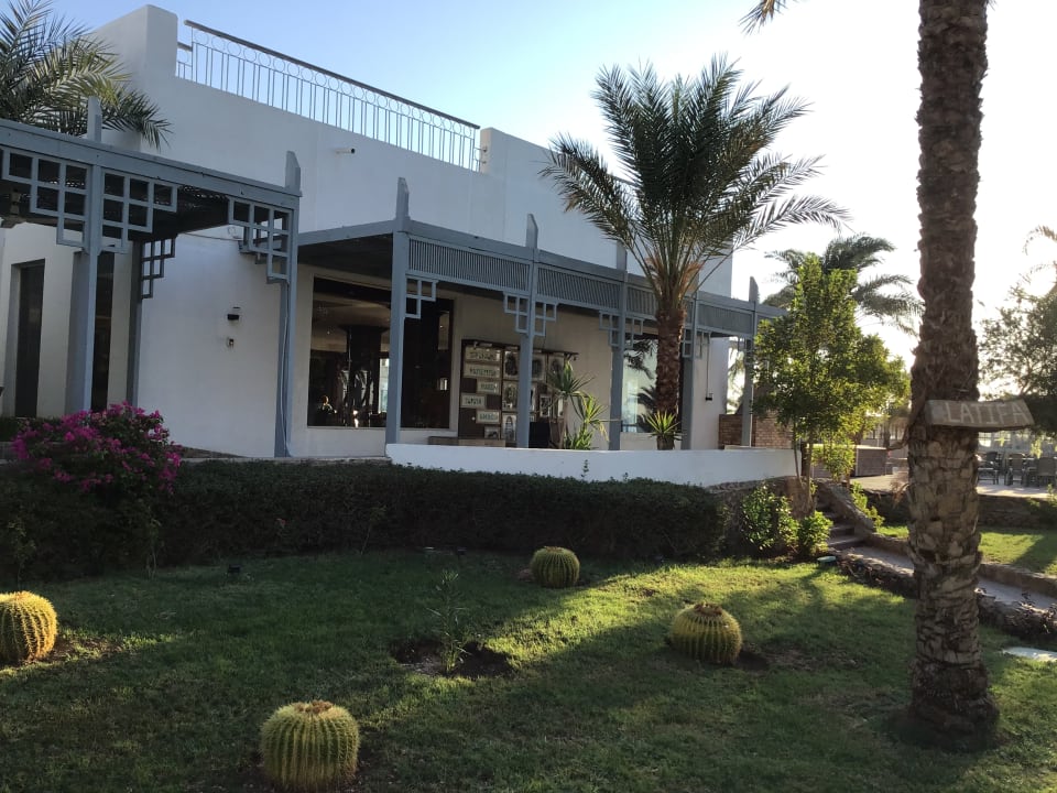 Gastro Menaville Safaga