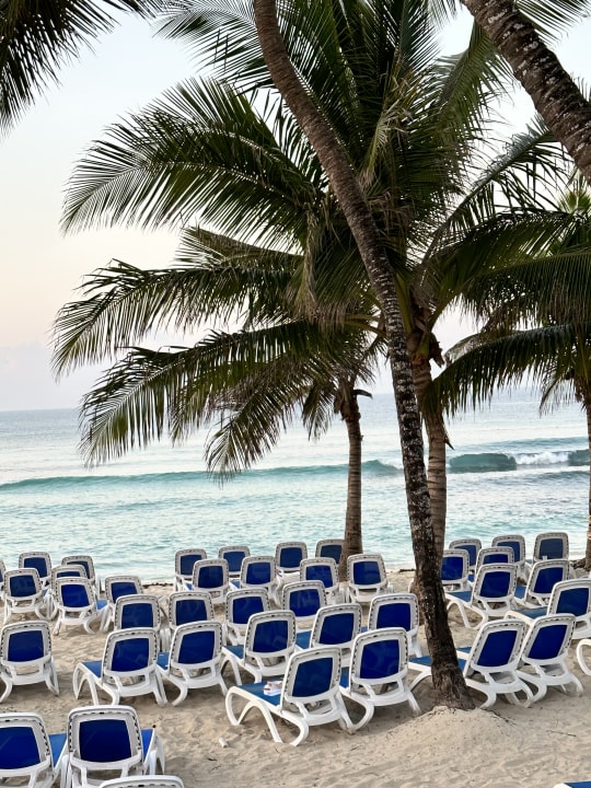 Strand Hotel Viva Dominicus Beach by Wyndham - All Inclusive Resort