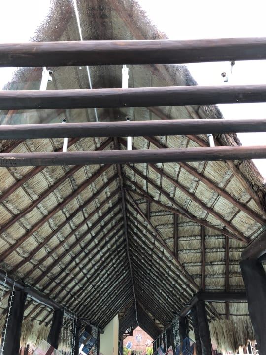 Sonstiges Iberostar Selection Paraiso Lindo