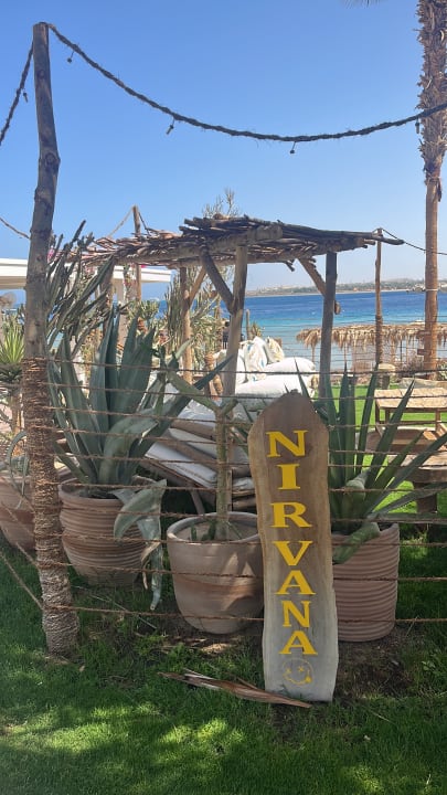 Gartenanlage Fort Arabesque Resort, Spa & Villas