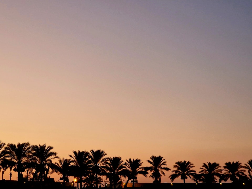 Ausblick Desert Rose