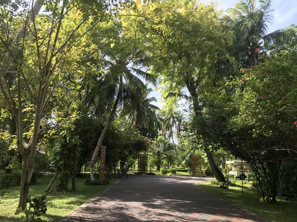 Gartenanlage Villa Park Sun Island