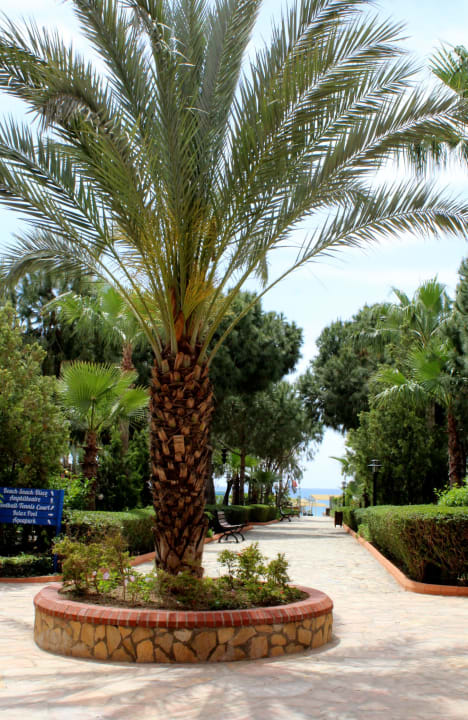 Weg zum Strand Club Turtas Beach Hotel