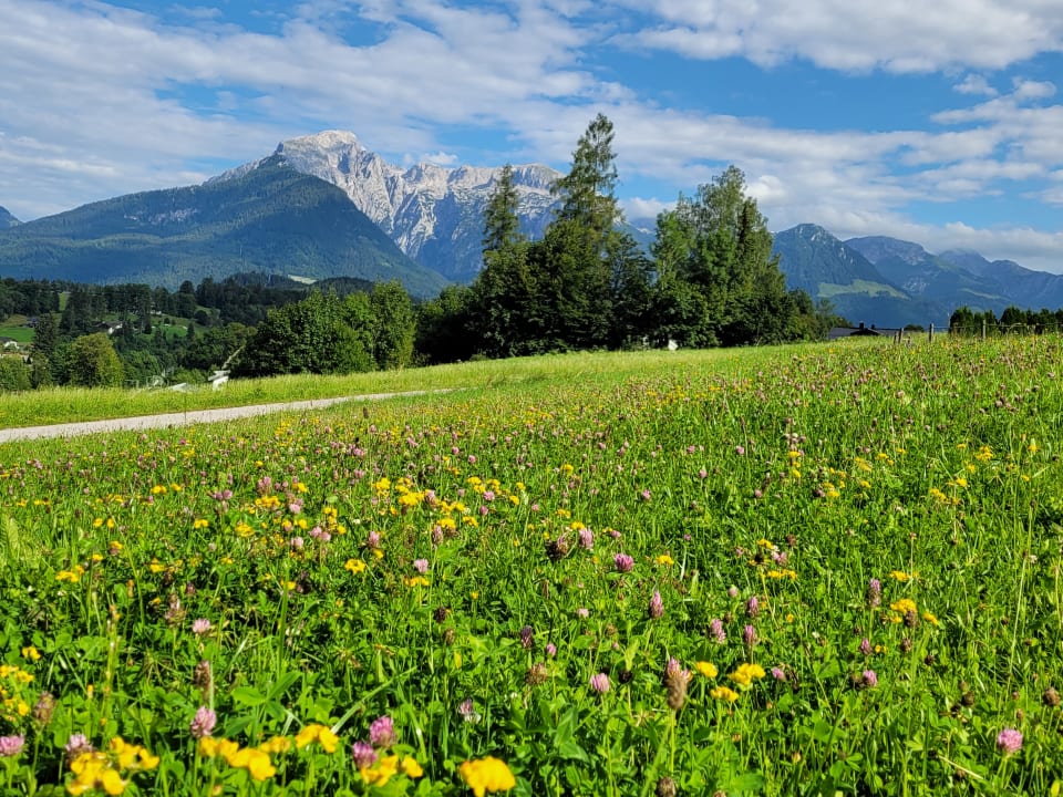 Ausblick Naturhotel Reissenlehen