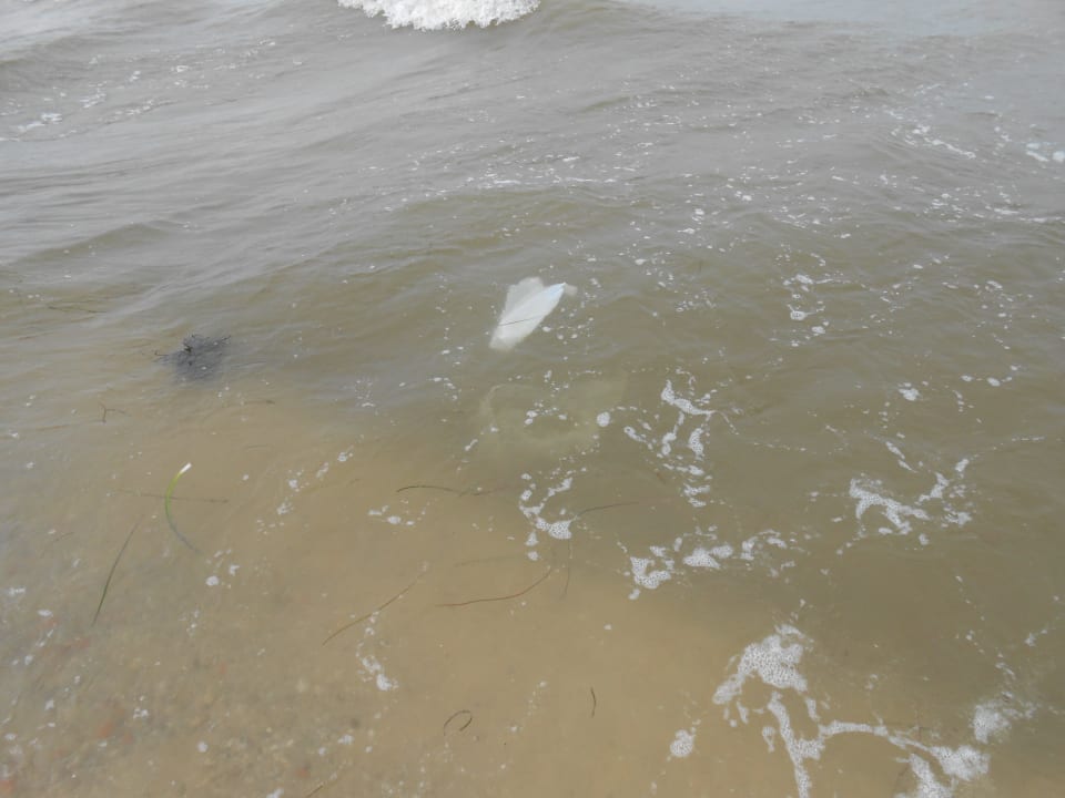 Plastik im Wasser Hotel El Mouradi Skanes Beach