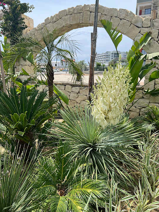 Gartenanlage Dream Fun World