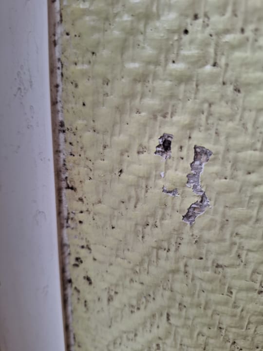 Zimmer Leonardo Hotel Düsseldorf Airport - Ratingen