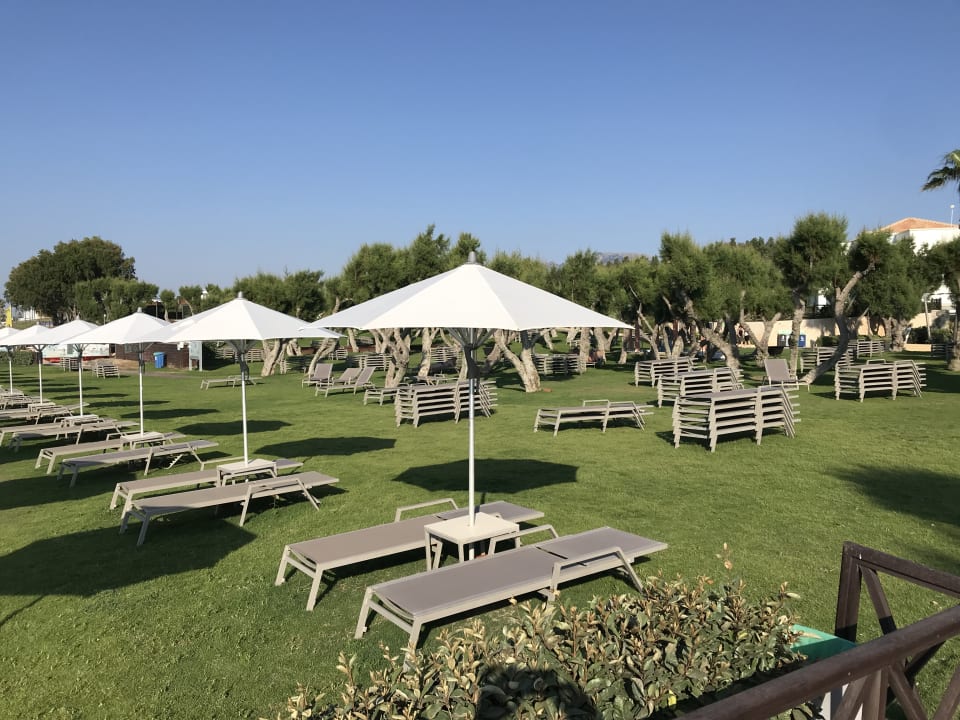 Gartenanlage Neptune Luxury Resort