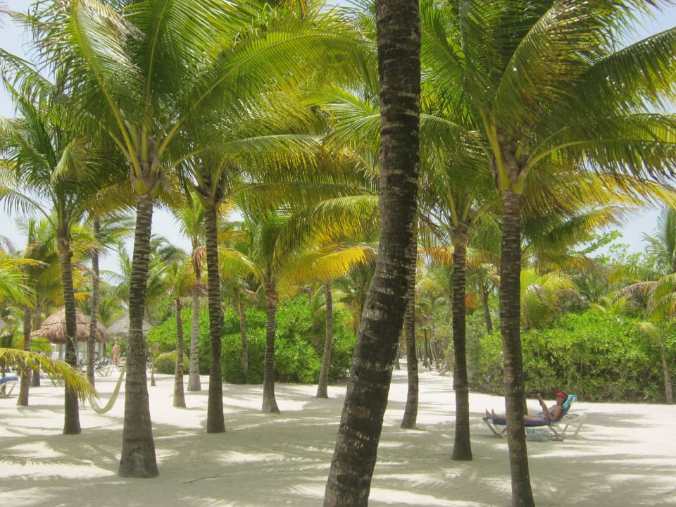 Keine Menschenseele Grand Palladium Kantenah Resort & Spa