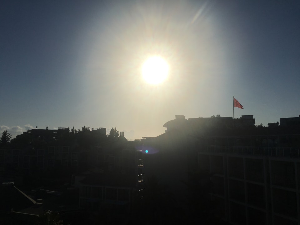 Ausblick Arum Barut Collection