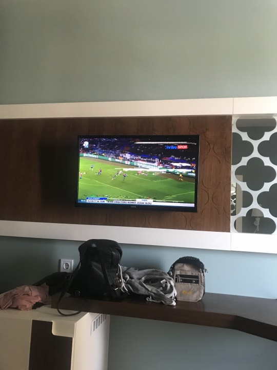 Zimmer Seashell Vega