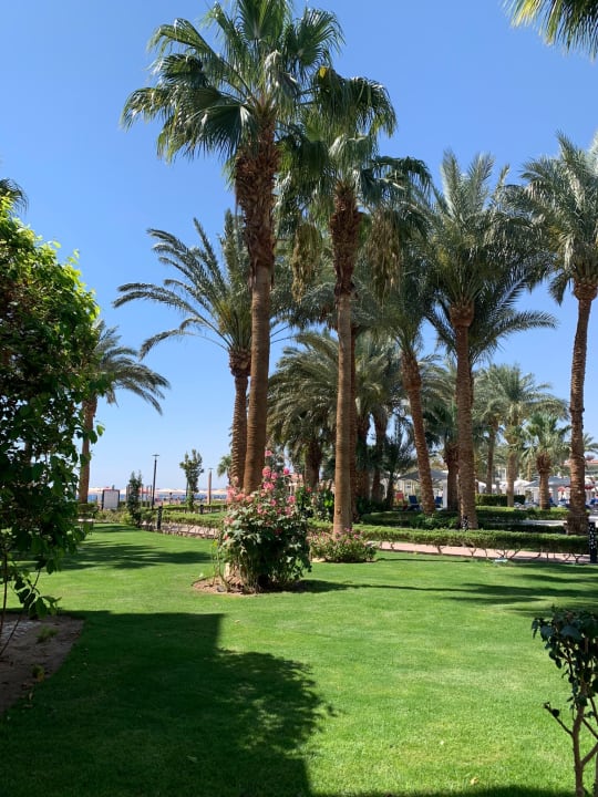 Gartenanlage Amarina Abu Soma Resort & Aquapark