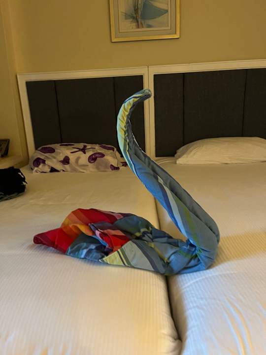 Zimmer Pickalbatros Palace Hotel-Port Ghalib