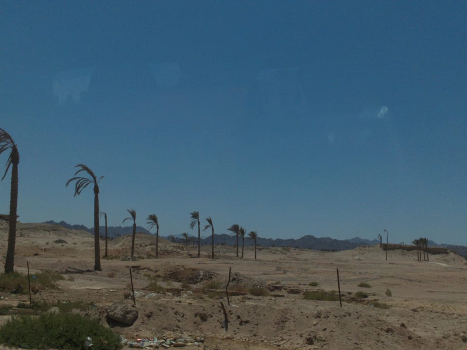 Sand wohin das Auge reicht Pickalbatros Royal Moderna Resort-Sharm El Sheikh