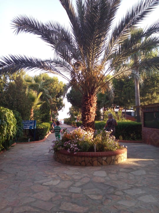 Weg zum Strand Club Turtas Beach Hotel