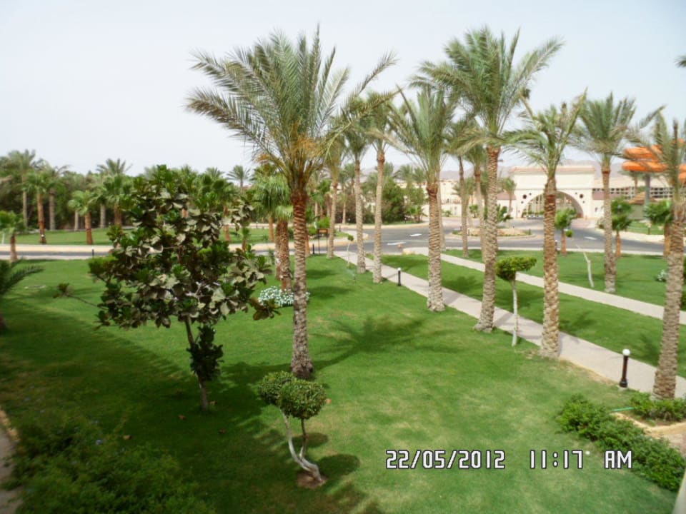 Вид из нашего номера Pickalbatros Royal Moderna Resort-Sharm El Sheikh