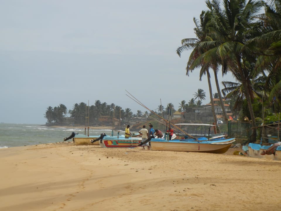 Strand direkt vor dem Hotelgarten Earl’s Reef Beruwala