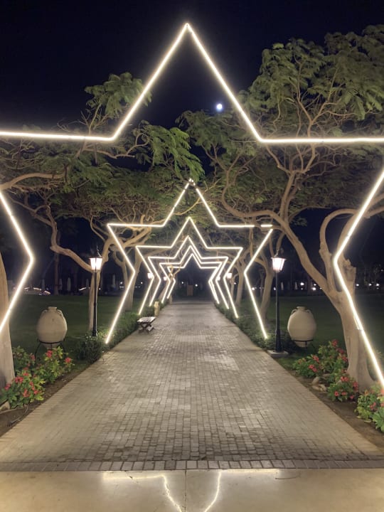 Gartenanlage Steigenberger ALDAU Beach Hotel