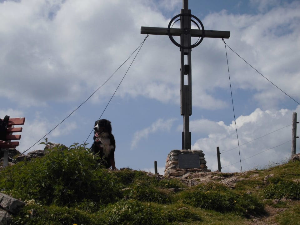 Kitzbüheler Horn Gipfelkreuz Hotel Müllneralm - das Hundeparadies