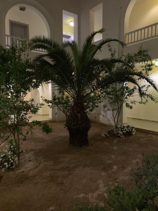 Gartenanlage Calimera Yati Beach