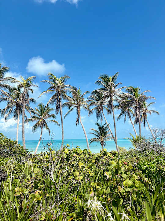 Sonstiges Viva Azteca by Wyndham - All Inclusive Resort